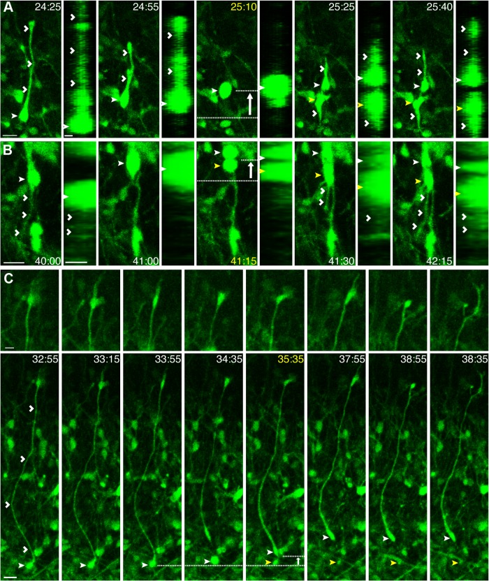 Figure 4.