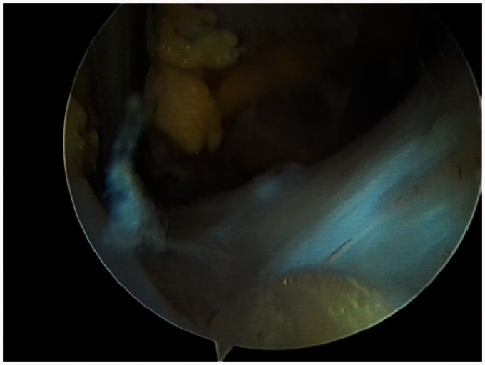 Figure 7.