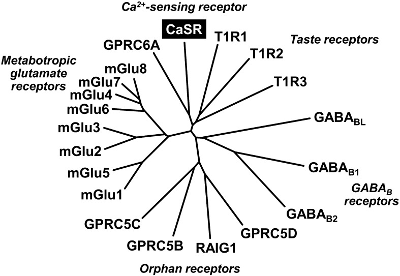 Fig. 3.