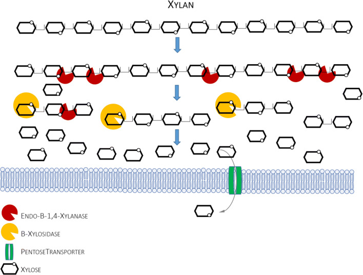 Fig. 4