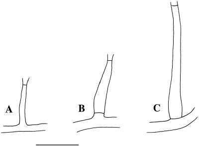 FIG. 5.