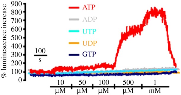 Figure 3.