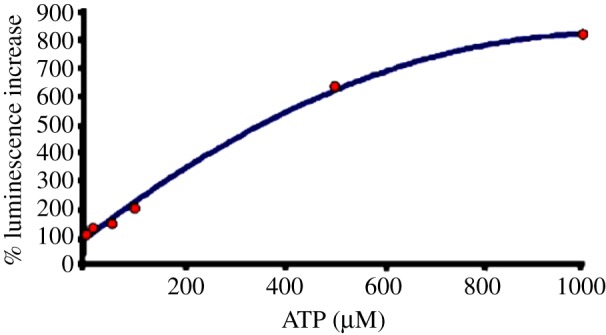 Figure 4.