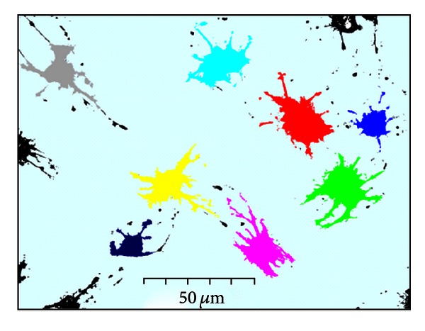 Figure 13