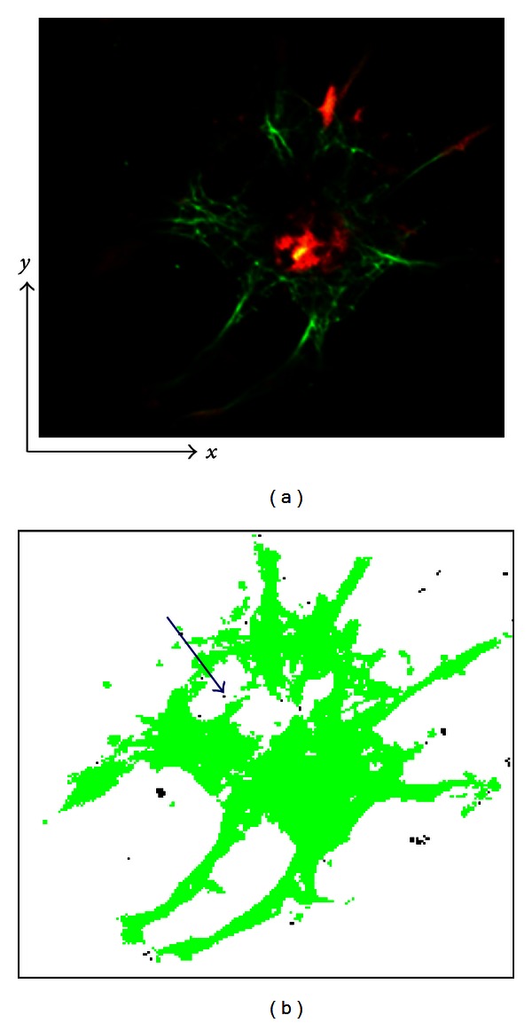 Figure 7