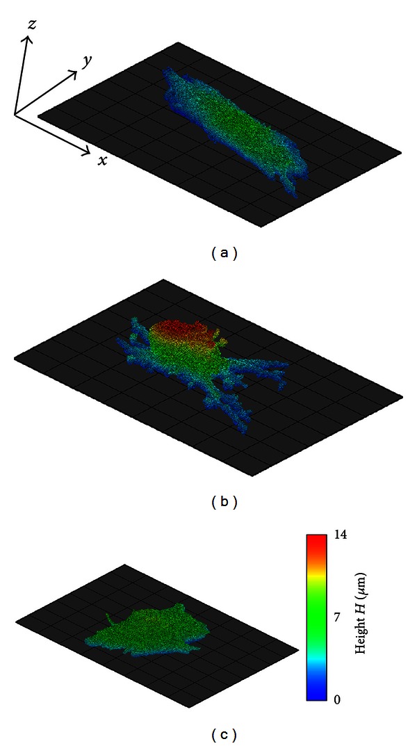 Figure 6