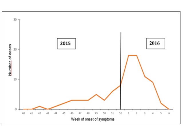 Source: National Epidemiological Surveillance System (SINAVE)./ General Directorate of Epidemiology / Secretariat of Health; Epidemiological Surveillance System Zika . *Up to February 19, 2016. Epidemic curve of authoctobous cases of Zika Virus diseases in Mexico, November, 2016 to February, 2016.