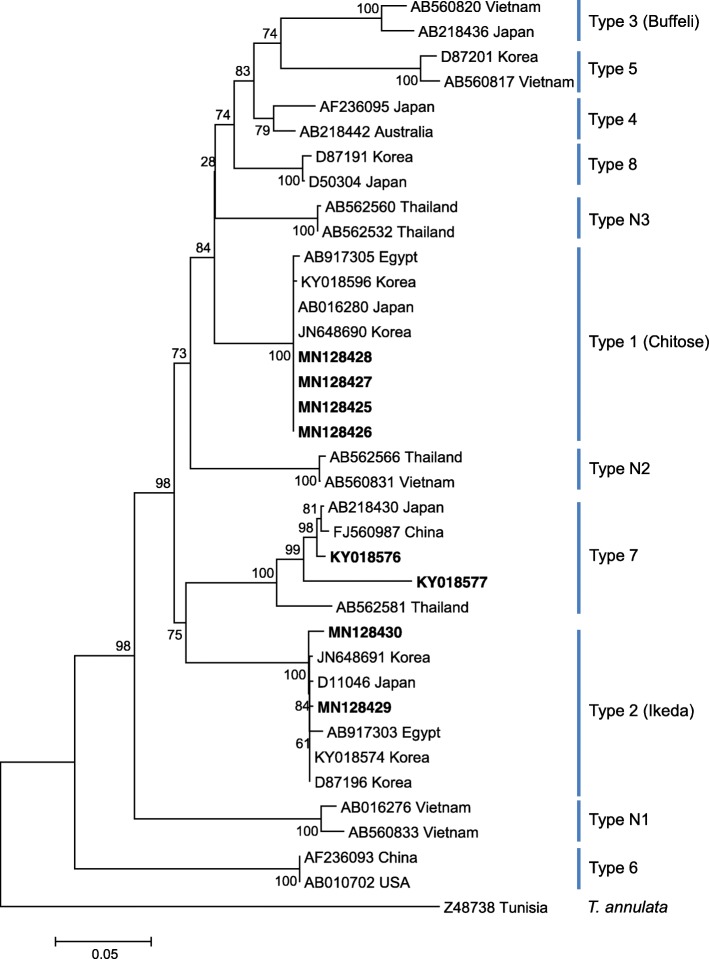 Fig. 1