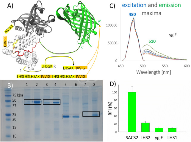 FIGURE 1