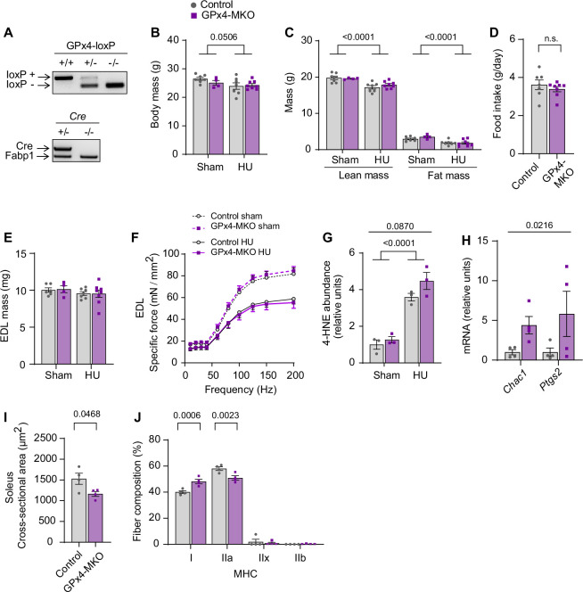 Figure 3—figure supplement 2.