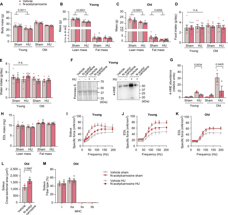 Figure 9—figure supplement 2.