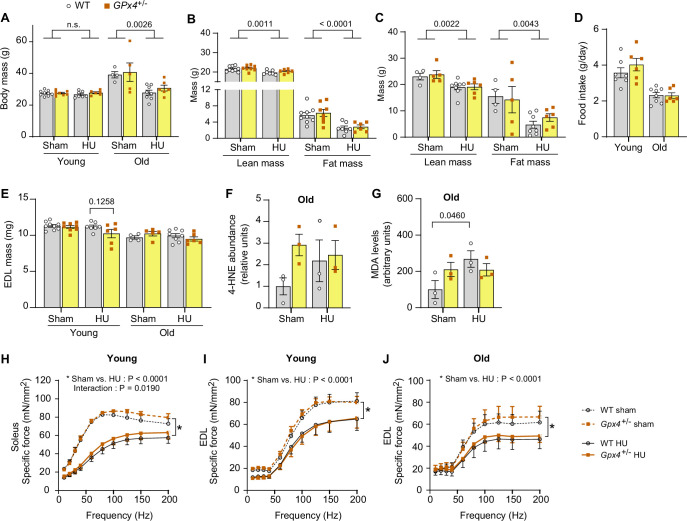 Figure 3—figure supplement 1.