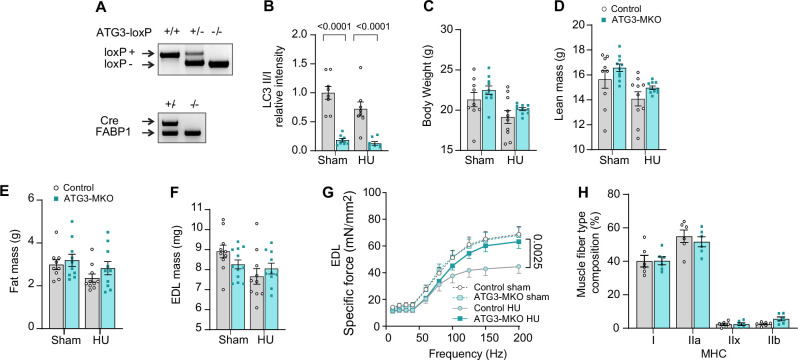 Figure 6—figure supplement 1.