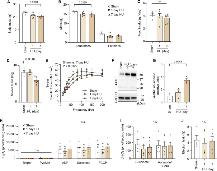 Figure 1—figure supplement 1.