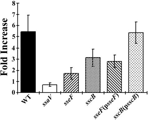 FIG. 7.