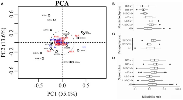 Figure 6