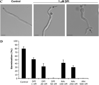 Figure 4.—