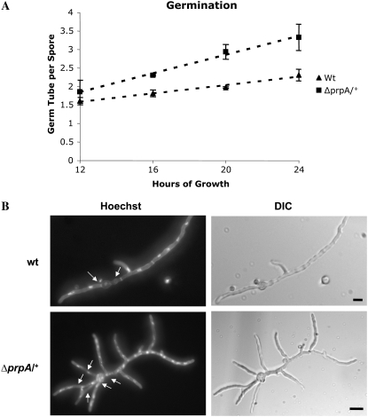 Figure 1.—