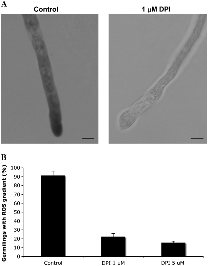 Figure 4.—