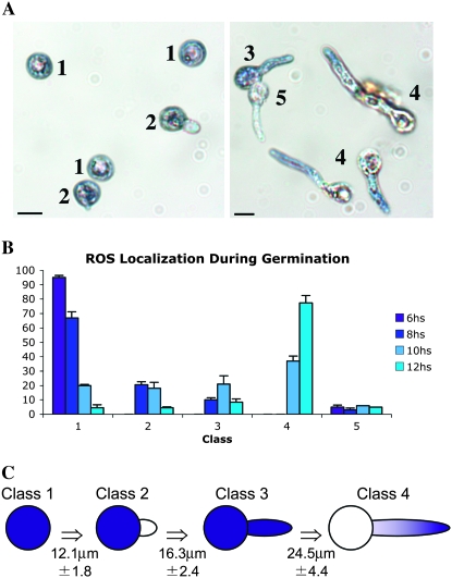 Figure 2.—