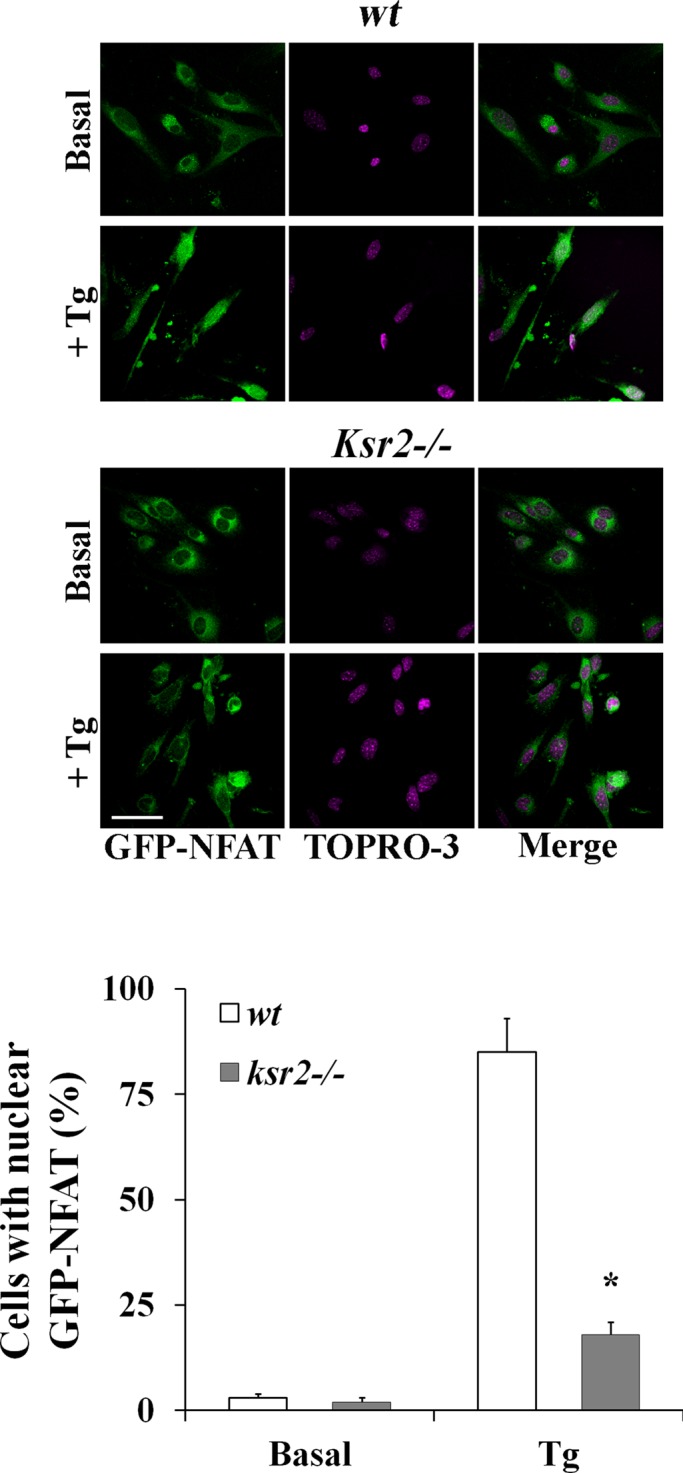 FIGURE 7: