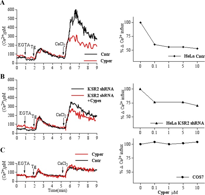 FIGURE 6: