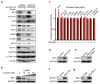 Extended Data Figure 8