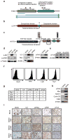 Extended Data Figure 1