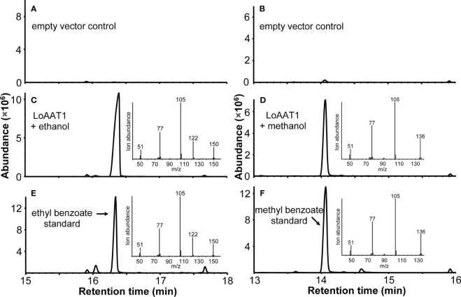 Figure 5