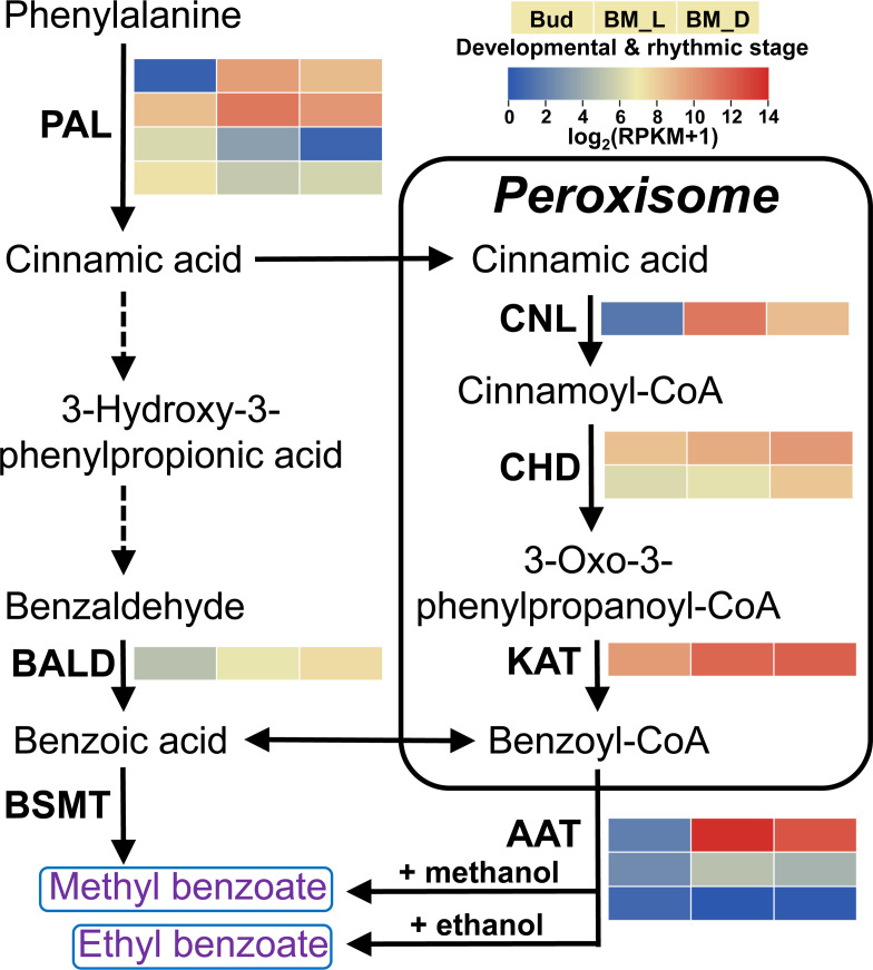 Figure 3