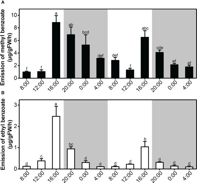 Figure 2