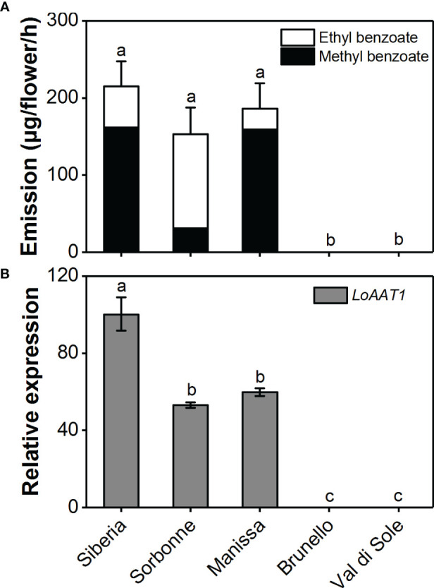 Figure 7