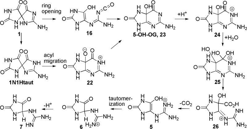 Scheme 5