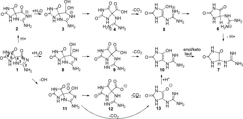 Scheme 2