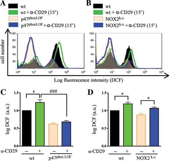 Figure 5