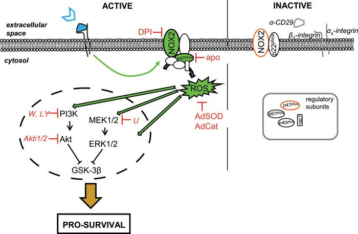 Figure 6