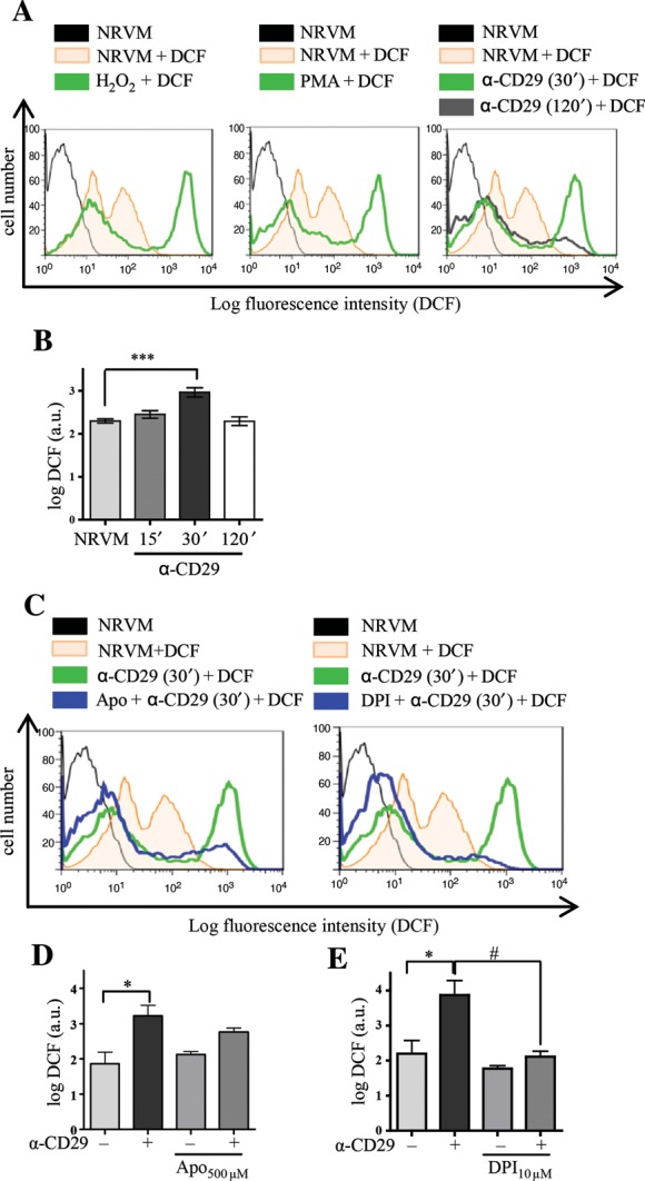 Figure 1