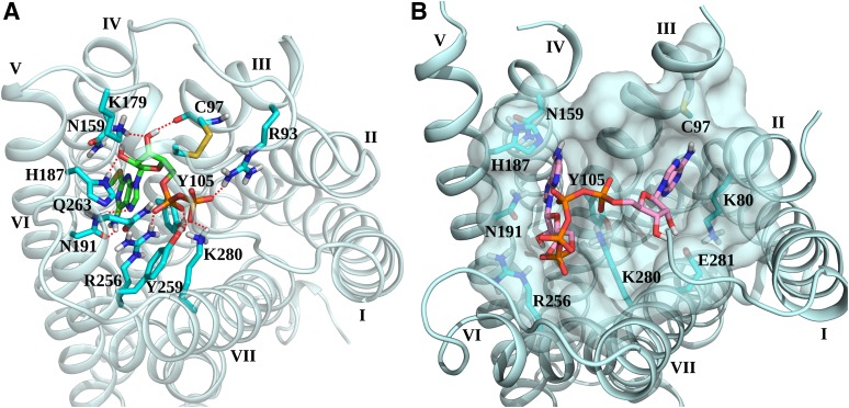 Fig. 5.