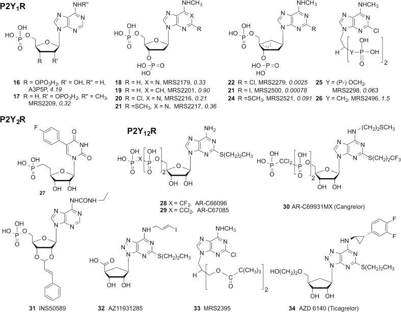 Fig. 3.