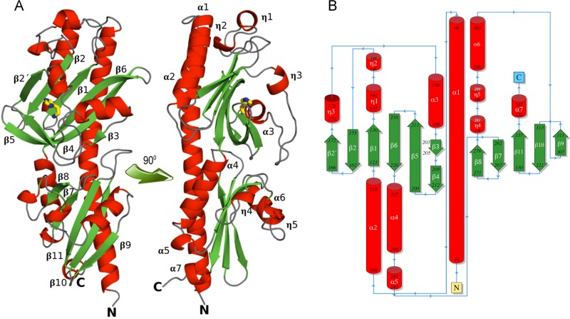 FIG 4