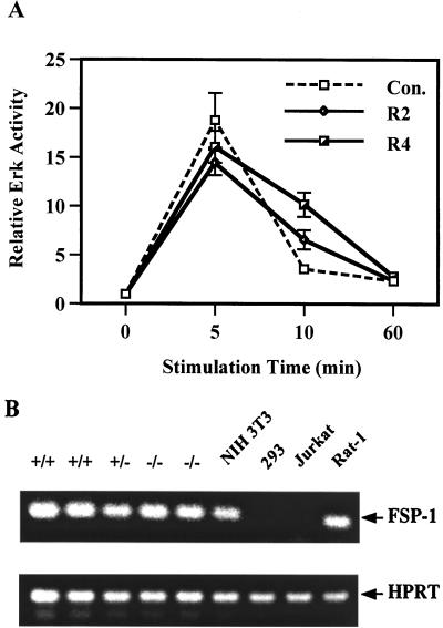 FIG. 10