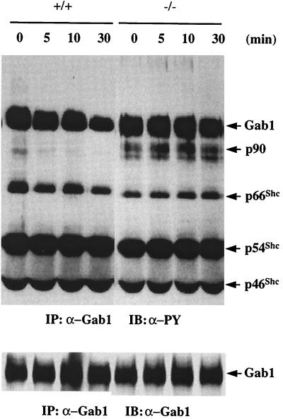 FIG. 8