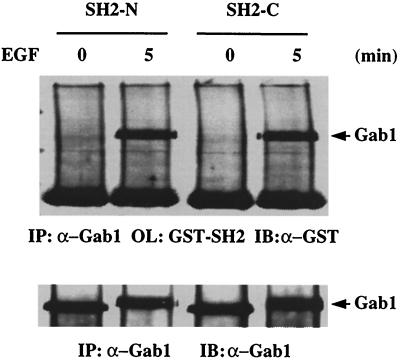 FIG. 6