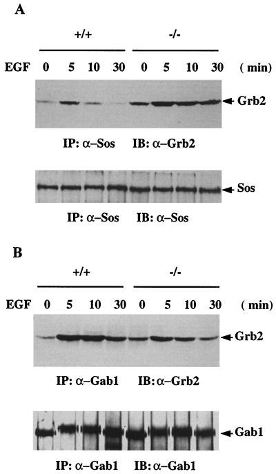 FIG. 9