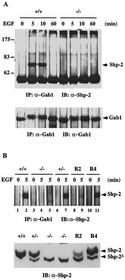 FIG. 5