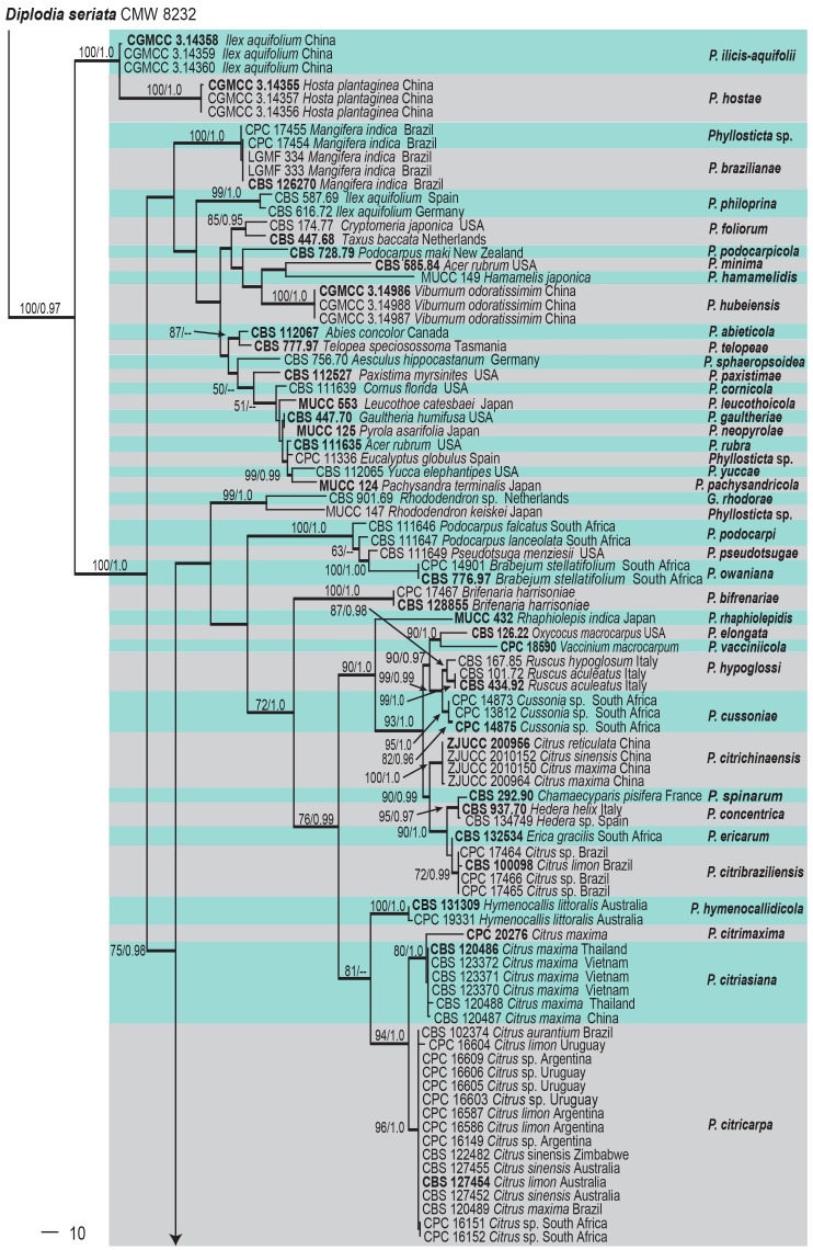 Fig. 1.