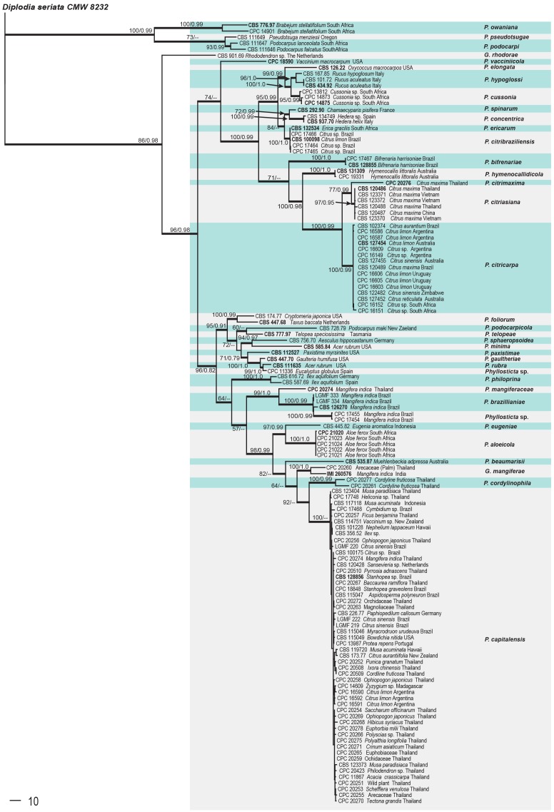 Fig. 2.