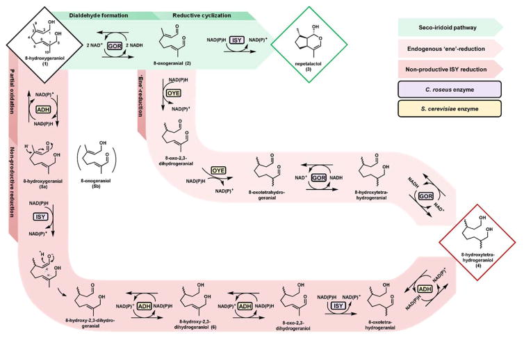 Fig. 2