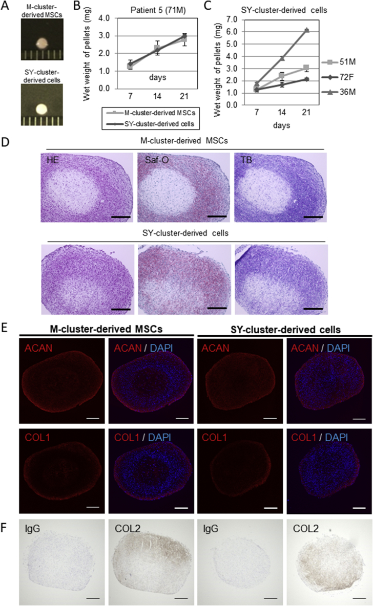 Fig. 4