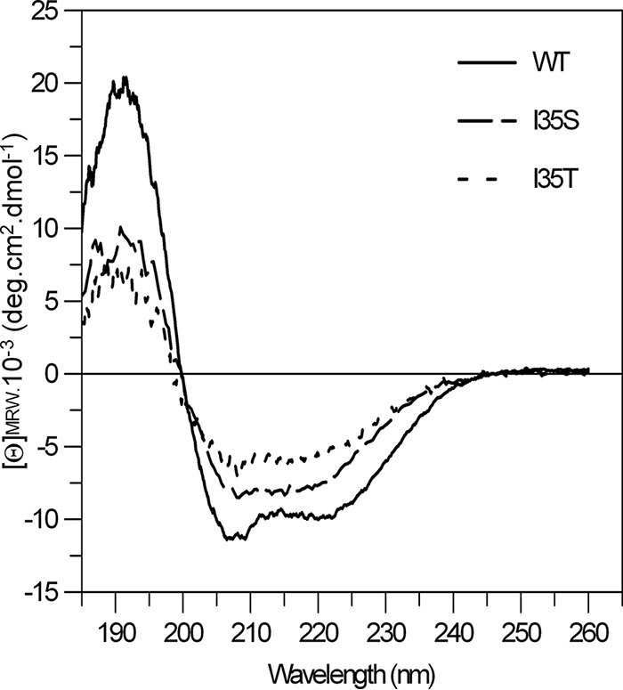 FIG 2